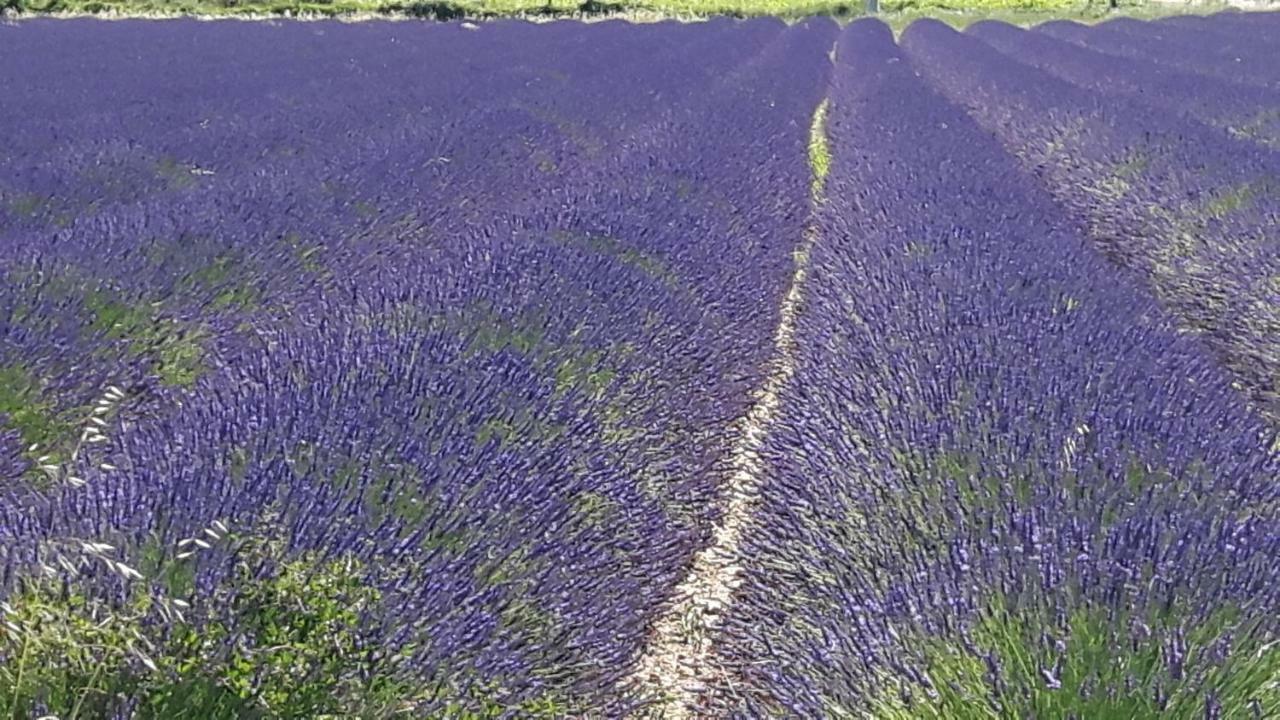 Louminai Bed & Breakfast Donzère Dış mekan fotoğraf